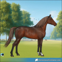 Horse Color:Liver Chestnut 