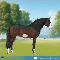 Horse Color:Bay Frame 
