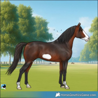 Horse Color:Bay Frame