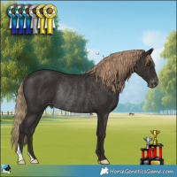 Horse Color:Liver Chestnut Varnish Rabicano