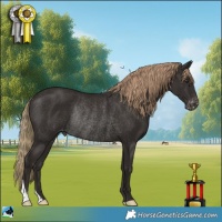Horse Color:Liver Chestnut Appaloosa Rabicano