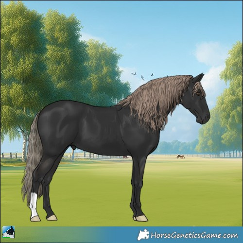 Horse Color:Liver Chestnut 