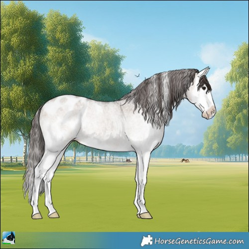 Horse Color:White Spotted Bay Dun Splash Appaloosa Rabicano 