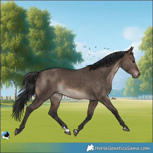 Horse Color:Brown Dun Rabicano 