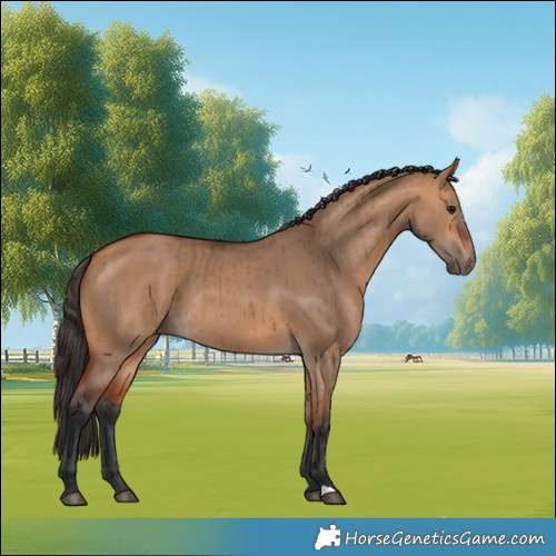 Horse Color:Bay Dun Brindle 