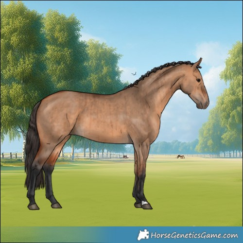 Horse Color:Bay Dun Brindle