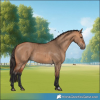 Horse Color:Bay Dun Brindle