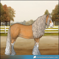 Horse Color:Palomino Splash  and Palomino Splash 