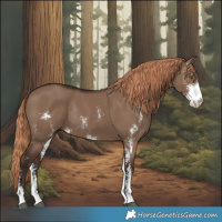 Horse Color:Liver Red Dun Sabino Rabicano 