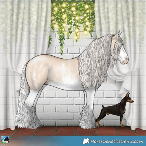 Horse Color:White Spotted Silver Classic Champagne Dun Splash Rabicano 
