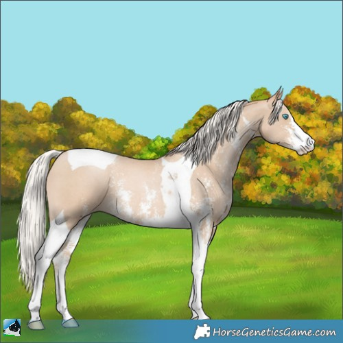 Horse Color:Silver Smoky Black Pearl Sabino Tobiano 