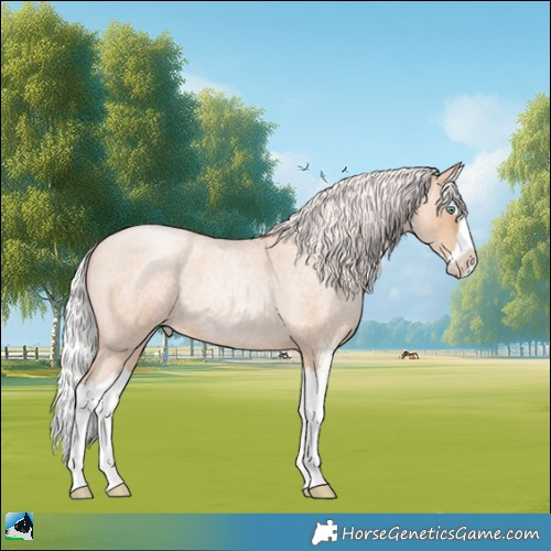 Horse Color:Silver Classic Champagne Roan Pearl Sabino Splash 