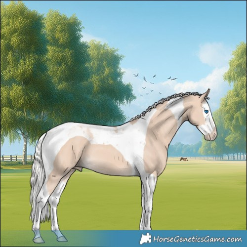 Horse Color:Silver Perlino Splash Tobiano 