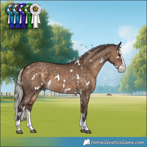 Horse Color:White Spotted Silver Brown Dun Splash 