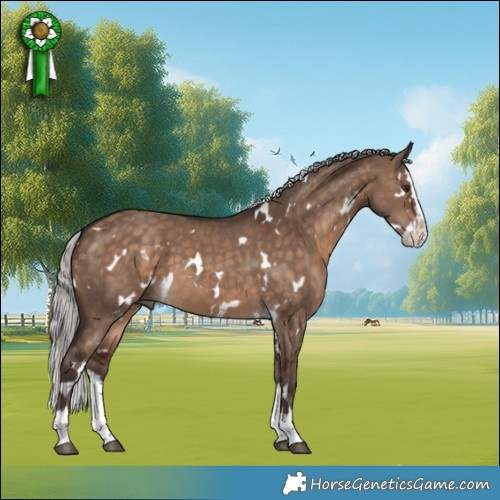Horse Color:White Spotted Silver Brown Dun Splash 