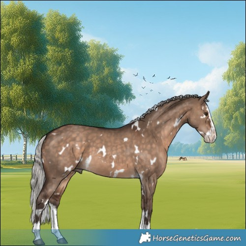 Horse Color:White Spotted Silver Brown Dun Splash 