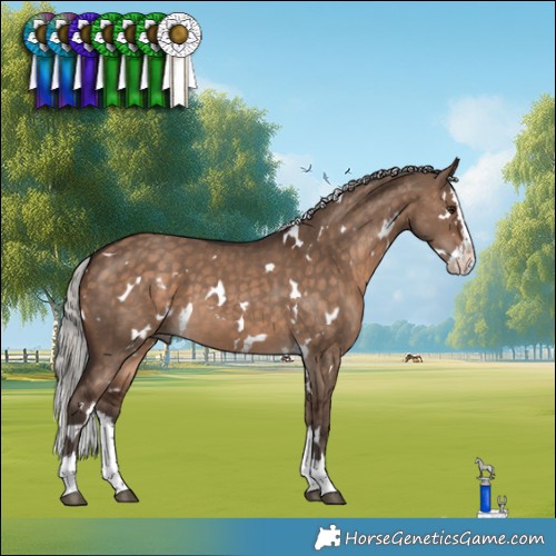 Horse Color:White Spotted Silver Brown Dun Splash 