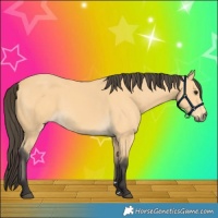 Horse Color:Buckskin 