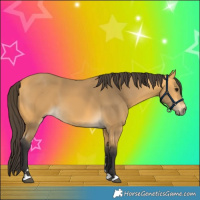 Horse Color:Buckskin 