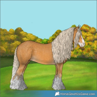 Horse Color:Palomino Splash  and Palomino Splash 