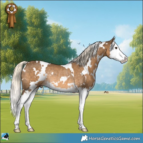 Horse Color:White Spotted Chocolate Palomino Splash Rabicano 
