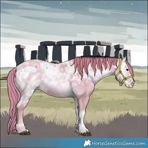 Horse Color:ERROR: UNKNOWN ANOMALY