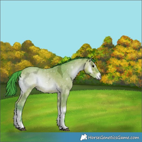 Horse Color:Watercolor Bay Ice Onyx 