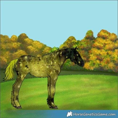 Horse Color:ERROR: UNKNOWN ANOMALY