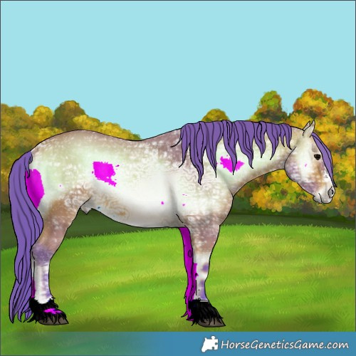 Horse Color:Watercolor Bay Ice Onyx 