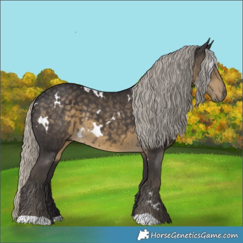 Horse Color:White Spotted Silver Smoky Black 