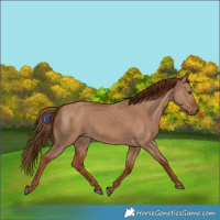 Horse Color:Red Dun