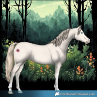 Horse Color:Perlino Dun Tobiano 