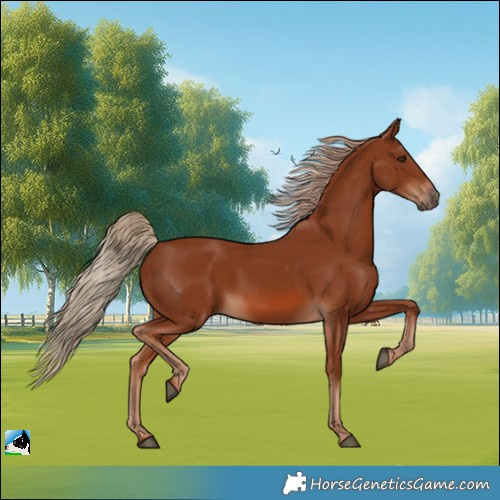 Horse Color:Chestnut 