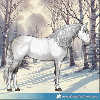 Horse Color:Gray White Spotted Silver Brown Dun 
