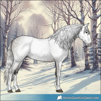 Horse Color:Gray White Spotted Silver Brown Dun
