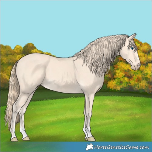 Horse Color:Perlino 