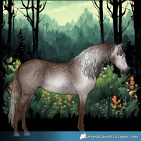 Horse Color:Gray Chestnut 