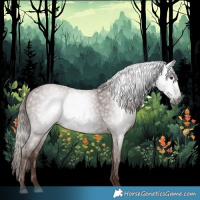 Horse Color:Gray Chestnut 