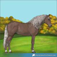 Horse Color:Silver Black 