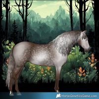Horse Color:Gray Chestnut 