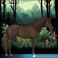 Horse Color:Gray Chestnut 