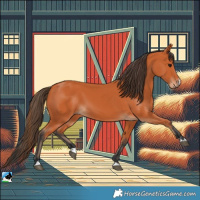 Horse Color:Bay 
