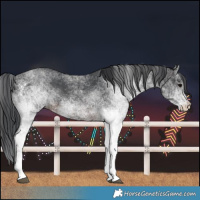 Horse Color:White Spotted Brown Rabicano 