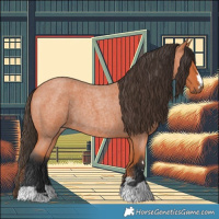 Horse Color:Bay Roan 
