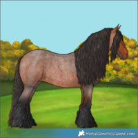 Horse Color:Bay Roan