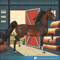 Horse Color:Brown Tobiano 