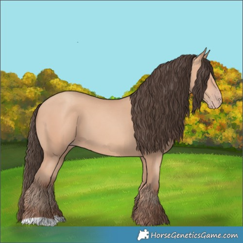 Horse Color:Amber Champagne