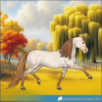 Horse Color:Red Dun Roan Splash