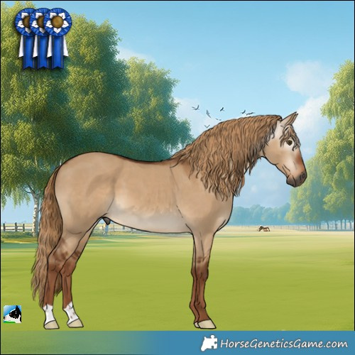 Horse Color:Gray Red Dun 
