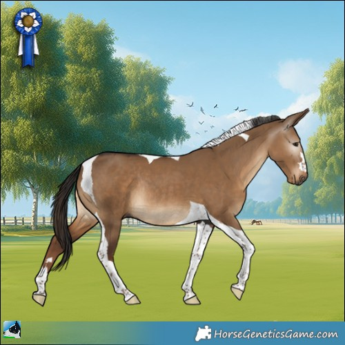 Horse Color:Gray Liver Red Dun Tobiano Rabicano